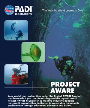 blue-ribbon-divers-puertogalera-aware blue ribbon divers puertogalera aware