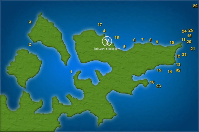 divers puerto galera dive sites