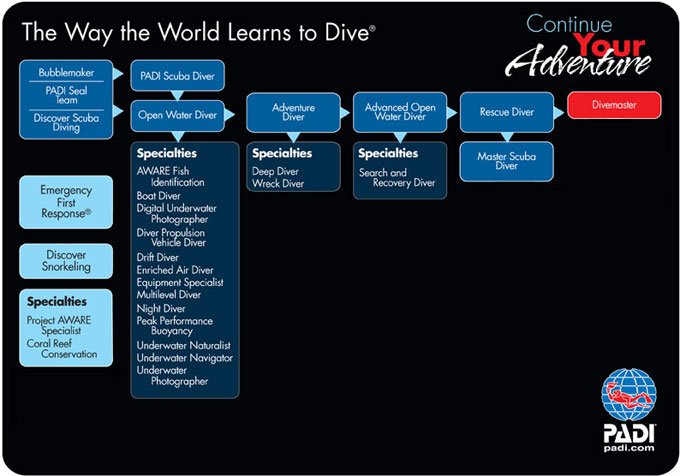 Padi Scuba Certification Courses